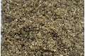 Ethiopian Frankincense Resin – Boswellia papyrifera thumbnail 3